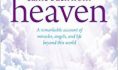 This story about dying and going to heaven is obviously not <i>true</i>, but that's not the problem